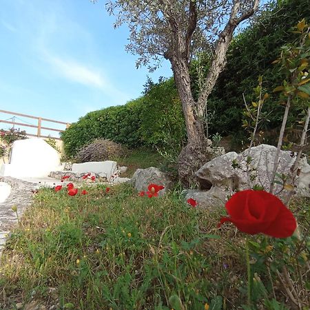 Emarmene Home With Private Pool Near Rhodes Town & Airport Koskinou  エクステリア 写真