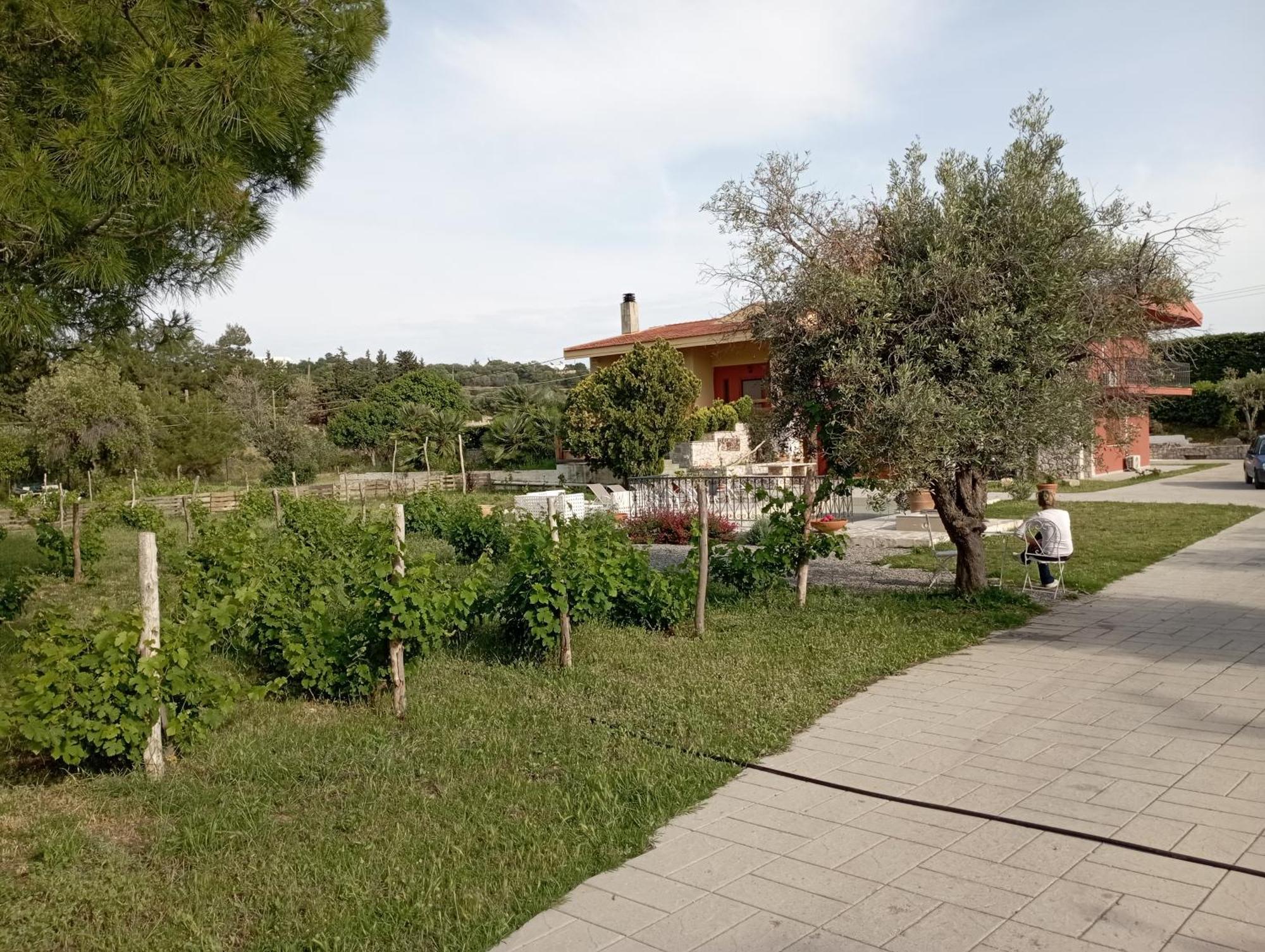 Emarmene Home With Private Pool Near Rhodes Town & Airport Koskinou  エクステリア 写真